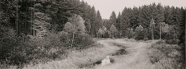dd019x300