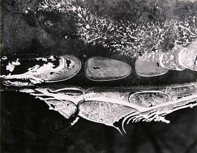 aa007x300