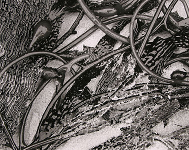 cc004x300
