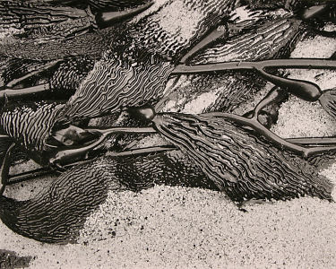 cc006x300