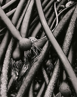 cc010x300