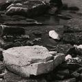 mm021x300