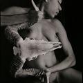 pp031x300