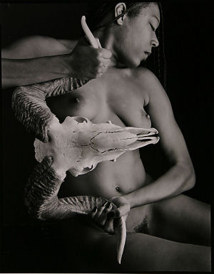 pp031x300