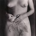 pp032x300