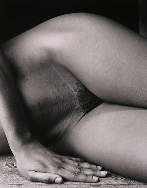 pp042x300