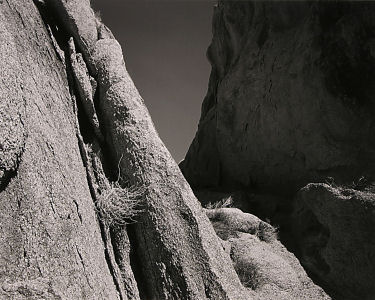 rr009x300