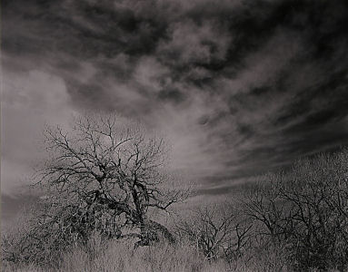 ll023x300