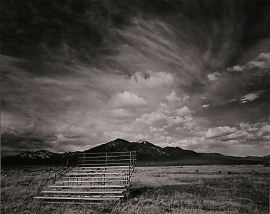 ll029x300