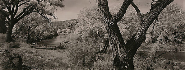 ll036x300