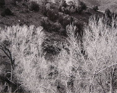dd011x300