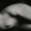 Female Form -27