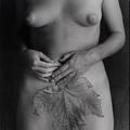 Female Form and skeletal leaf