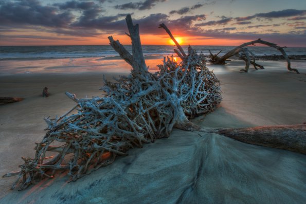 Driftwood Beach-12