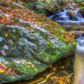 Smokies-fall-10