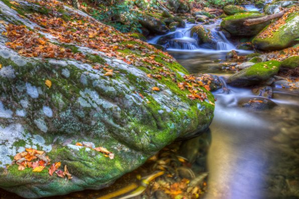 Smokies-fall-10