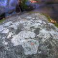 Smokies-fall-12