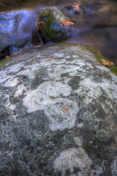 Smokies-fall-12