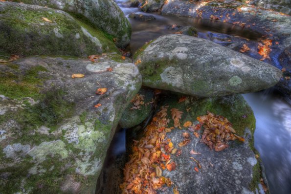 Smokies-fall-14
