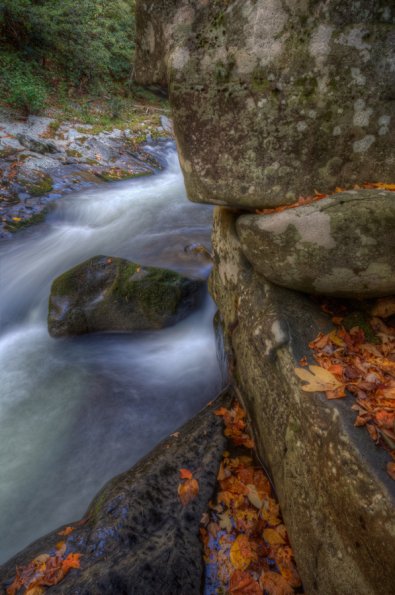 Smokies-fall-2