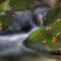 Smokies-fall-23
