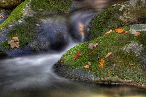 Smokies-fall-23