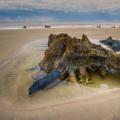 Stump in Tidepool-16
