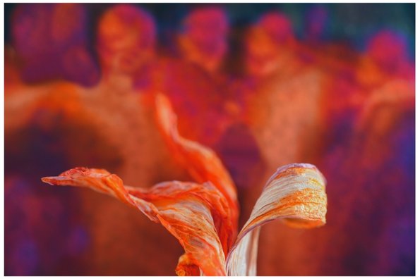 Flame Dancers