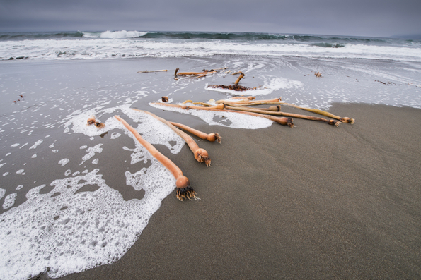 Big Sur Coast-1