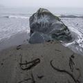 Big Sur Coast-21