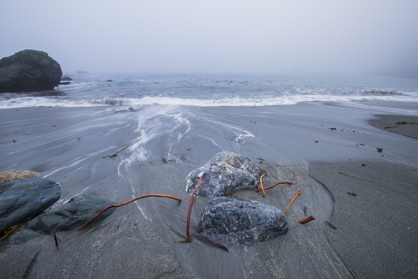Big Sur Coast-26