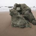Big Sur Coast-37