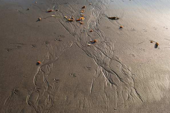 Big Sur Coast-39