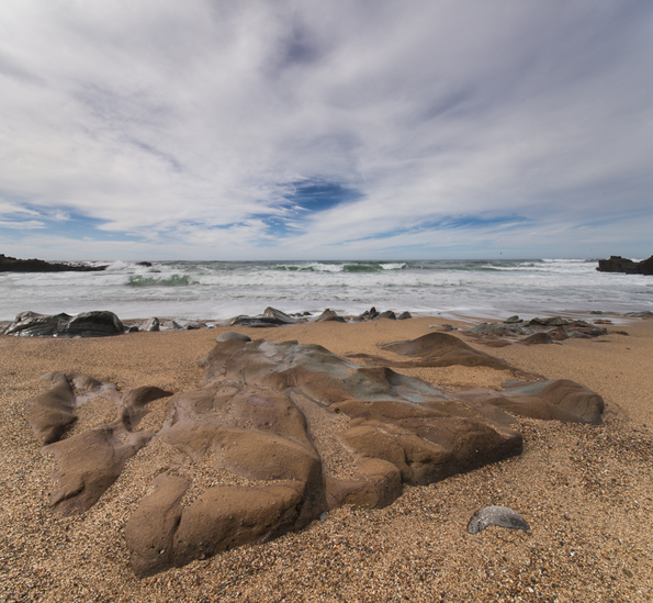 Pescadero Coast-14