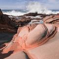 Pescadero Coast-4