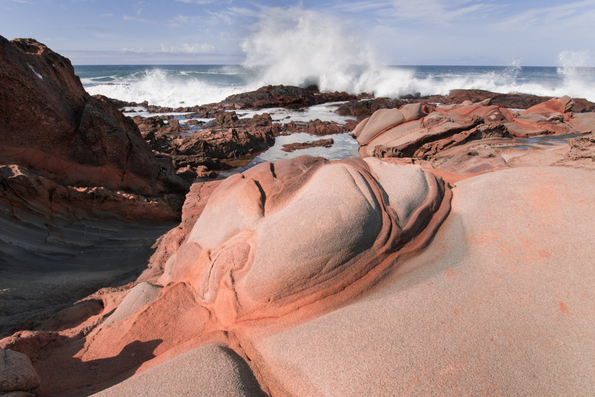 Pescadero Coast-4