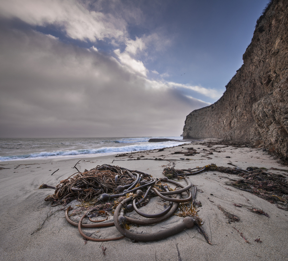 Davenport Coast-32