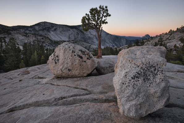 Yosemite National Park-10