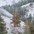 Yosemite National Park-18