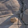 Yosemite National Park-2