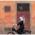 Marrakesh,stories on the wall -3