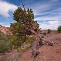 Angel Peak Badlands-1