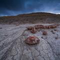 Bisti Badlands-Hunter Wash-2