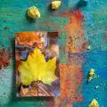 Fall Pastel -5