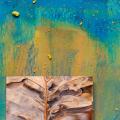 Fall Pastel -1