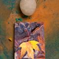 Fall Pastels -6