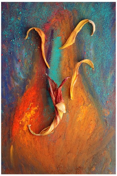 Iris -28