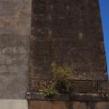 Coimbra-13