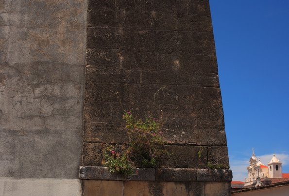 Coimbra-13