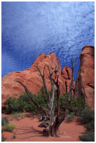 Arches National Park-1